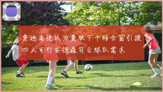 费迪南德认为曼联下个转会窗引援四人可行安德森符合球队需求