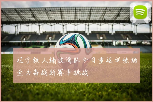 辽宁铁人楠波湾队今日重返训练场全力备战新赛季挑战
